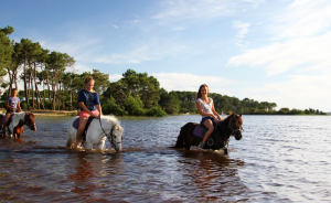 Activités autour du domaine - Equitation Activités autour du domaine - Equitation