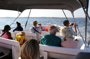 Activités autour du domaine - Sortie en mer Activités autour du domaine - Sortie en mer
