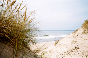 Plage de Vendays Montalivet Plage de Vendays Montalivet