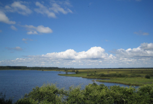 Réserve naturelle étang de cousseau Réserve naturelle étang de cousseau