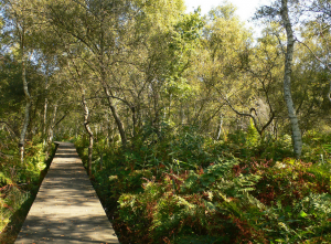 Réserve naturelle d'Hourtin Réserve naturelle d'Hourtin